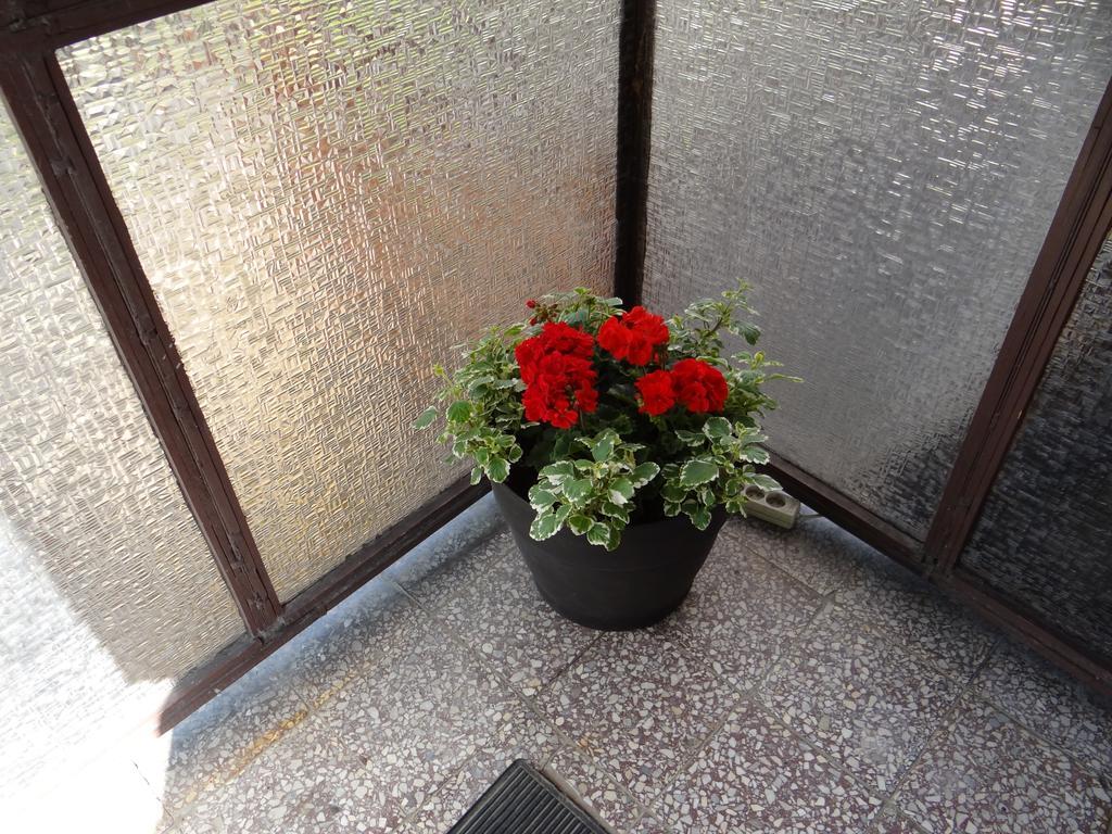 Apartamento Stefanka Zakopane Exterior foto